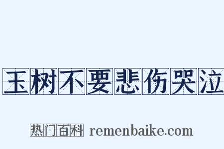 玉树不要悲伤哭泣是什么意思的图片